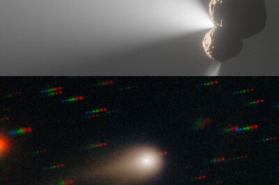 “GLOBAL FEAR IGNITES AS CHINA’S WEBB-CLASS TELESCOPE CONFIRMS ORGANIC MATERIAL ON INCOMING INTERSTELLAR OBJECT 3I/ATLAS, SPARKING ALARM AMONG SCIENTISTS AND A CHILLING WARNING FROM ELON MUSK ABOUT THE POTENTIAL RISKS IF IT REACHES OUR ATMOSPHERE!”