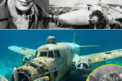 After 87 Years of Mystery Surrounding Amelia Earhart’s Disappearance, Groundbreaking New Evidence Emerges from Nikumaroro Island That Suggests She and Her Navigator Fred Noonan May Have Survived After Their Plane Crash, Challenging Long-Standing Theories and Offering a New Perspective on Her Legacy as a Pioneering Aviator and Symbol of Resilience in the Face of Adversity.”