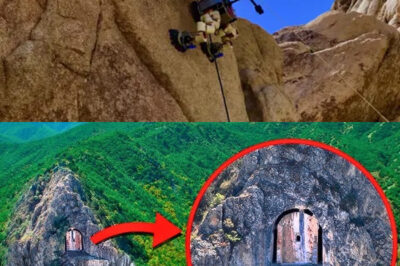 Astonishing Discovery of a Mysterious Moving Rock Door in Ireland: Scientists Reveal Hidden Chamber Behind It Containing Ancient Artifacts That Shed Light on Neolithic and Bronze Age Cultures, Unveiling Secrets of Ritualistic Practices and Daily Life of Early Inhabitants, Captivating the Public Imagination and Igniting Interest in Ireland’s Rich Archaeological Heritage and the Mysteries of Its Past.