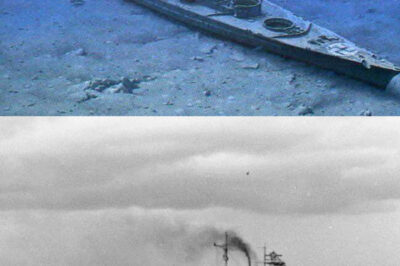 Submarine Drone Uncovers a Sealed Chamber Inside the Infamous WWII Battleship Bismarck, Triggering a Disturbing SOS Signal That Raises Alarming Questions About the Contents Within and Their Potential Implications for Historical Research, Ethical Considerations, and Future Exploration of This Legendary Shipwreck, Highlighting the Ongoing Mysteries Beneath the Waves of Maritime History.