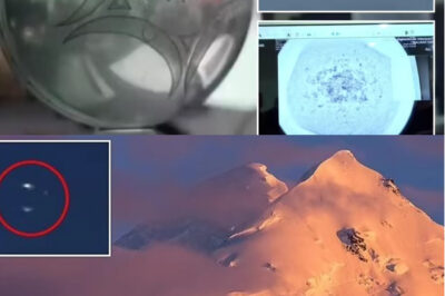 “BREAKING: SCIENTISTS STUNNED AS AUTHENTIC ALIEN WRITING IS CONFIRMED ON MYSTERIOUS SPHERE-SHAPED UFO, SPARKING DEBATE AND EXCITEMENT ABOUT EXTRATERRESTRIAL INTELLIGENCE AND THE IMPLICATIONS OF CONTACT WITH ADVANCED CIVILIZATIONS IN OUR UNIVERSE!”