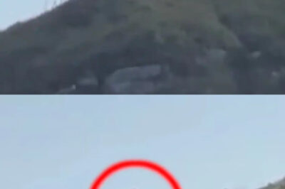 SHOCKING: Mountaineers Confirm the Presence of a 10-Foot ALIEN CREATURE on a Remote Hilltop, Prompting Eyewitness Accounts and Astonishing Descriptions of Its Iridescent Skin and Elongated Body, Raising Profound Questions About Extraterrestrial Life and the Mysteries of Our Planet, While Scientists Urge Caution and Call for Thorough Investigation to Validate the Claims and Explore the Implications of Such a Discovery in the Realm of Astrobiology and Unexplained Phenomena