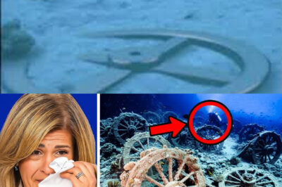 Beneath the Waves of the Red Sea: Divers Unearth a 1.5-Mile Chariot Graveyard, Unveiling Ancient Artifacts That Challenge Historical Narratives and Offer Profound Insights into the Military and Cultural Practices of Ancient Civilizations, Potentially Connecting to Biblical Events and Reshaping Our Understanding of the Past While Highlighting the Importance of Underwater Archaeology in Discovering Hidden Histories Lost to Time.