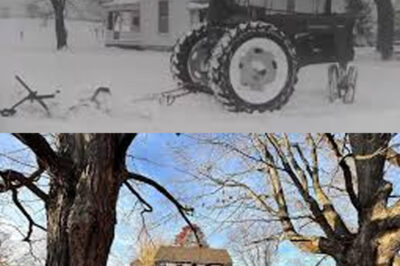 “On a Bitterly Cold Christmas Morning in 1968, Walter Kemper’s Old Farmall Tractor Started While His Neighbor’s New International Harvester 806 Diesel Failed, Highlighting the Reliability of Tradition Over Modern Machinery in Extreme Weather Conditions”