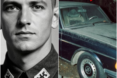 German Colonel Escaped in 1945 — 79 Years Later His Car, Uniform, and Secret Diary Are Found
