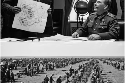 Stalin LAUGHED AT MINER WHO PROPOSED ‘Impossible Tactic’ — His Mines BURIED 380,000 SS at Kursk