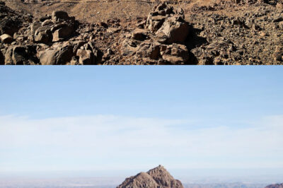 “Un Dron Ha Escaneado el Monte Sinaí con Radar de 100× — Y lo que Ha Revelado Está Sacudiendo la Historia, Desenterrando Estructuras Antiguas y Posibles Rutas de Peregrinación que Podrían Reescribir la Narrativa sobre la Actividad Humana en Este Lugar Sagrado y Su Importancia en la Tradición Religiosa”