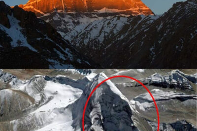 “Monte Kailash: La Montaña Prohibida que Desafía la Ciencia y Atrae a Millones de Peregrinos en Busca de Espiritualidad, Misterio y Revelaciones; Un Enigma Geológico con Forma Pyramidal Simétrica que Se Alza como el Hogar de Shiva y el Centro del Universo Según Varias Religiones, Donde las Anomalías Magnéticas y las Leyendas Antiguas Se Entrecruzan, Creando un Espacio Sagrado que Invita a la Reflexión sobre la Conexión entre lo Divino y lo Natural, Retando las Fronteras del Conocimiento Moderno y la Comprensión Espiritual.”
