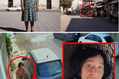 “The Mysterious Disappearance of María Elena Vázquez: How the 42-Year-Old Housewife Vanished While Walking to the Market in Mérida in 1989 and the Shocking Discovery Made 14 Years Later by a Neighbor Cleaning an Abandoned House That Would Unravel Disturbing Truths and Bring New Hope to Her Family and Community”