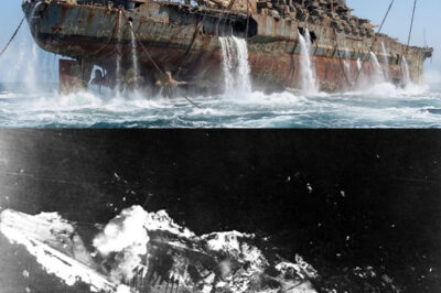 “El Fantasma del Yamato: La Historia del Mayor Acorazado del Mundo que Resurgió de las Profundidades”