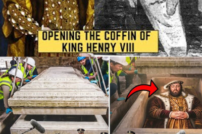 “Descubriendo los Secretos Ocultos en la Tumba de Enrique VIII: Hallazgos Arqueológicos Asombrosos que Dejan a los Expertos en Silencio, Revelando Artefactos Personales y Restos que Iluminan la Vida y el Legado de uno de los Monarcas más Notorios de Inglaterra, Desafiando Narrativas Antiguas y Ofreciendo Nuevas Perspectivas sobre la Dinastía Tudor, Mientras Transforman la Significativa Capilla de San Jorge en el Castillo de Windsor en un Sitio Dinámico de Investigación que Conecta el Pasado con el Presente y Profundiza en las Complejidades del Poder en la Inglaterra Moderna.”