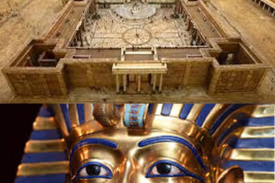 “Finalmente Abierta la Tumba del Rey Salomón: Un Descubrimiento Sorprendente Revela Artefactos Antiguos y Ritualísticos en Lugar del Cuerpo del Rey, Desafiando las Expectativas Históricas y Reavivando el Debate sobre la Historia y la Mitología de Jerusalén, Mientras los Arqueólogos Exploran el Significado de los Hallazgos y lo que Implican sobre las Creencias de los Antiguos Israelitas Respecto a la Muerte, la Inmortalidad y la Memoria de Grandes Líderes en la Cultura Hebrea, Ofreciendo Nuevas Perspectivas sobre la Vida y Legado del Monarca Legendario.”