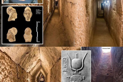 “Después de Localizar la Tumba Perdida de Cleopatra, los Arqueólogos Descubren Detalles Terribles que Desafían la Explicación y Podrían Cambiar Nuestra Comprensión de Su Vida, Creencias y el Legado de una de las Reinas Más Enigmáticas de la Historia Antigua”