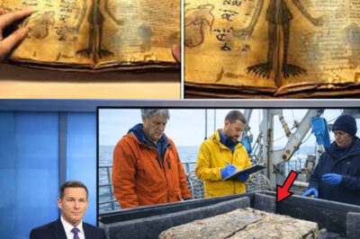 “El Libro Bajo el Mar: Un Descubrimiento que Podría Reescribir la Historia de la Humanidad”