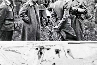 “Antonio Aguilar Jr. Unveils the Hidden Son of Flor Silvestre and Paco Malgesto: A Shocking Revelation That Could Rewrite the History of the Aguilar Dynasty, Exposing Long-Buried Secrets and Scandals That Have Shaken the Foundations of Mexican Entertainment and Divided the Family for Generations”