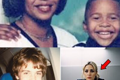 “Impactante revelación sobre la desaparición de Mateo Ricci en vuelo a Roma en 1997, 10 años después, azafata revela la verdad detrás de su destino.”