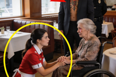 The Italian Mafia Boss Heard the Waitress Speak to His Mama in Italian — “You Just Stole My Heart”