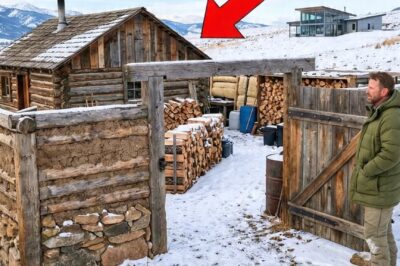 Neighbor’s Laughed When Ex-Sniper Built a Second Wall Around His Cabin — Until the Blizzard Came