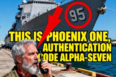 A Captain Mocked the Homeless Veteran, “Fly It” – Seconds Later, F-35 Pilots Saluted Him