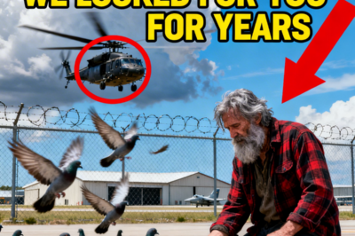 A Homeless Veteran Was Feeding Pigeons – Then a Black Hawk Called Out, “IRON SHADE.”
