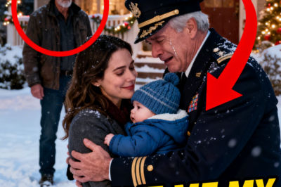 The Admiral Had to Get Home for Christmas – Then the Homeless Veteran Said, “I Can Fly the C-130.”