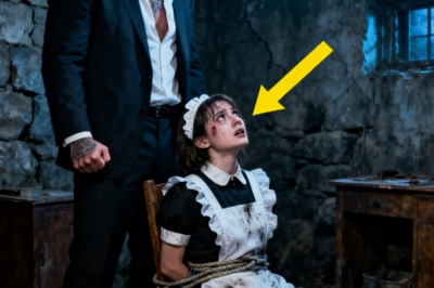 The Mafia Boss Heard Terrified Screams from the Sealed Basement – Then Found His Loyal Maid Captive Inside