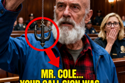 The Court Saw Only a Homeless Veteran – Until the Judge Leaned Forward and Whispered, “You’re the SEAL.”