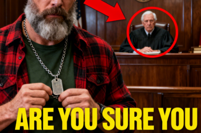 The Judge Ordered the Homeless Veteran to Take Off His Dog Tags – Moments Later, His Career Was Over