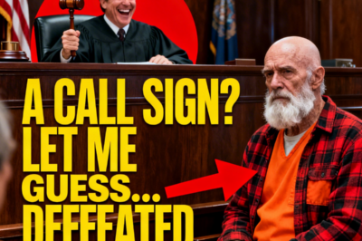 The Judge Asked the Homeless Veteran’s Call Sign as a Joke – Then “Phantom Hawk” Made Him Go Pale