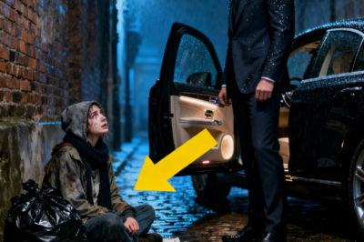 The Mafia Boss Saw a Helpless Woman Sleeping on a Pile of Trash – What She Revealed Left Him Speechless