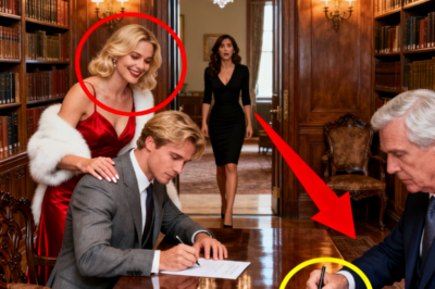 They Divided the Family Assets Without Her – Until One Signature Changed Everything